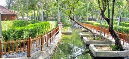 باغ وکیل آباد مشهد، همه چیز درباره پارک جنگلی وکیل آباد