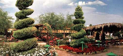 6 پارک برتر در مشهد، پارک های معروف مشهد : از پارک کوهستانی تا باغ ملی مشهد